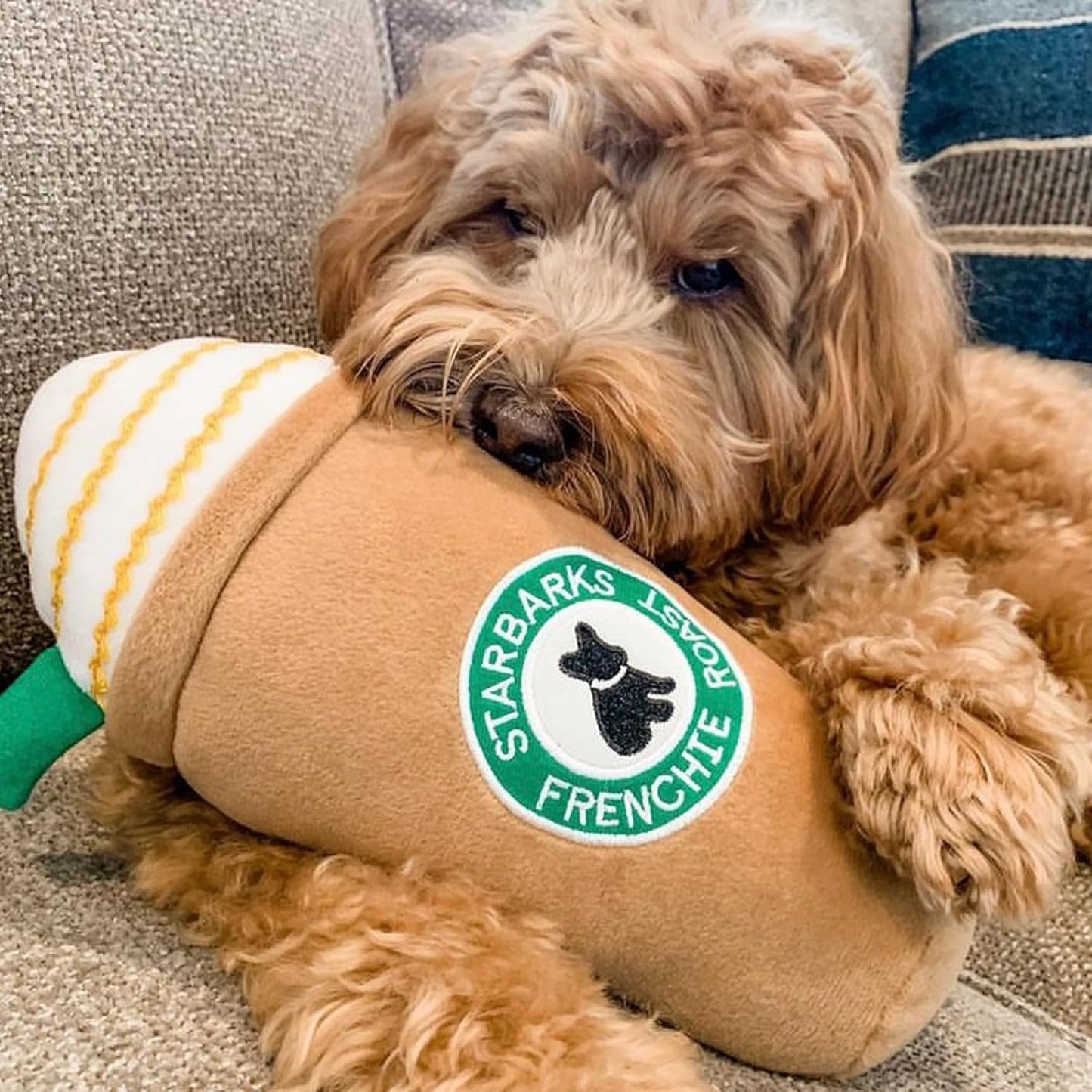 Starbarks Coffee Dog Toy