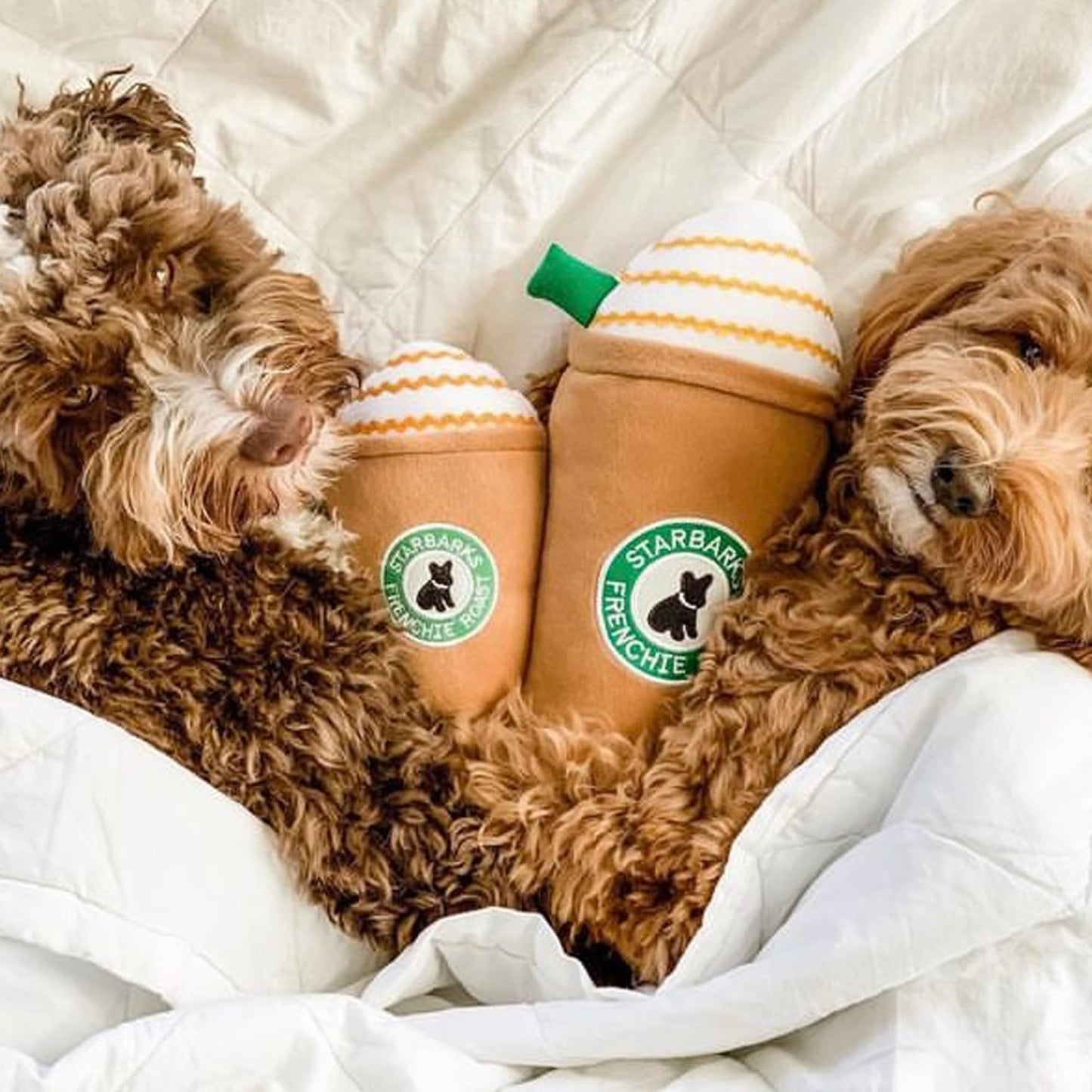 Starbarks Coffee Dog Toy
