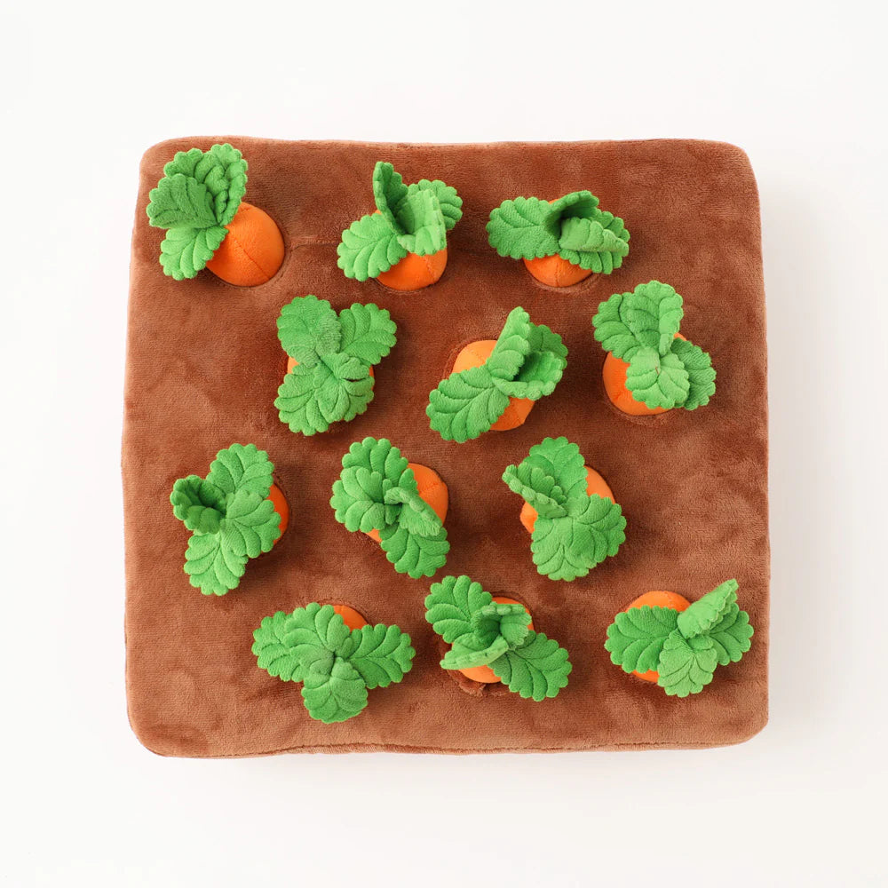 Carrot Farm Dog Toy - Interactive Carrot Plush Puzzle Toy for Dogs