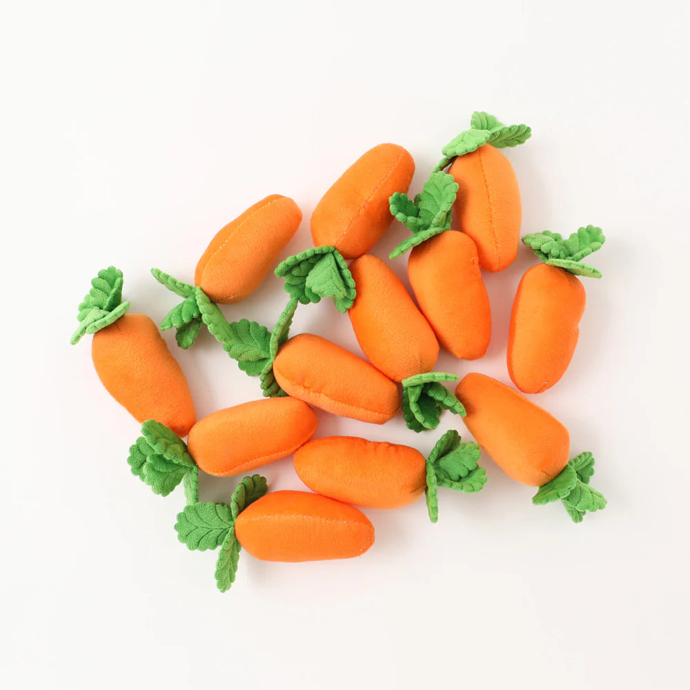 Carrot Farm Dog Toy - Interactive Carrot Plush Puzzle Toy for Dogs