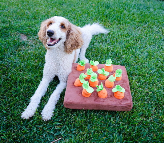 Carrot Patch Dog Toy - Interactive Carrot Plush Puzzle Toy for Dogs
