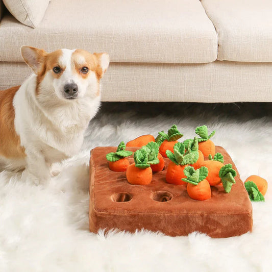 Carrot Farm Dog Toy - Interactive Carrot Plush Puzzle Toy for Dogs